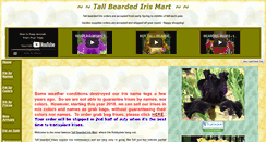Desktop Screenshot of irismart.com